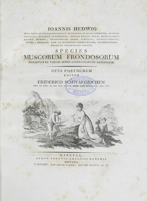 4187
          <br/>
          Species muscorum frondosorum descriptae et tabulis aeneis LXXVII coloratis illustratae. Opus posthumum editum a           Fr. Schwaegrichen
          <br/>
          <em></em>